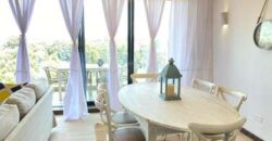 2br Furnished Apt, Rosslyn/Two Rivers